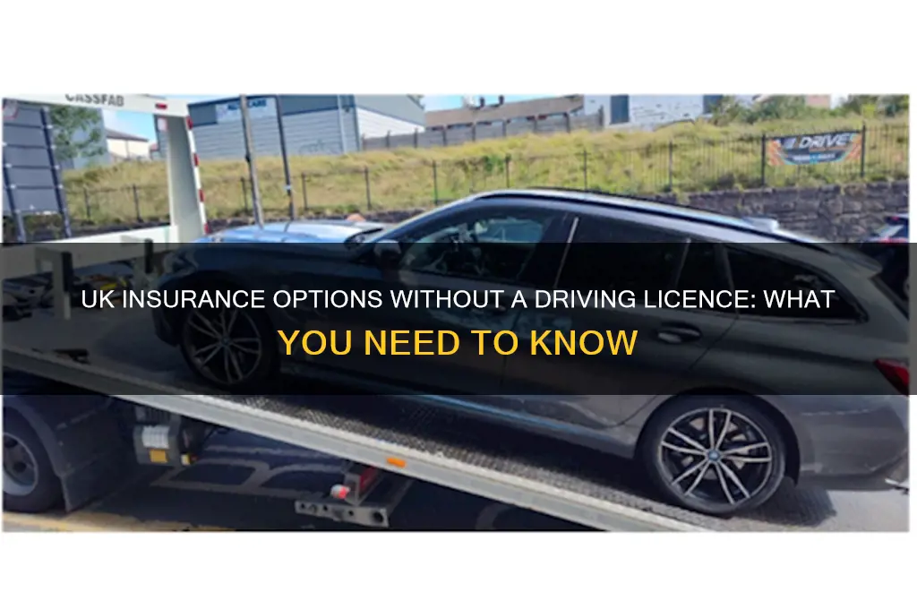 which insurance company does not ask for driving license uk