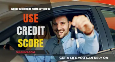 Insurance Companies That Don’t Use Credit Scores: Your Guide