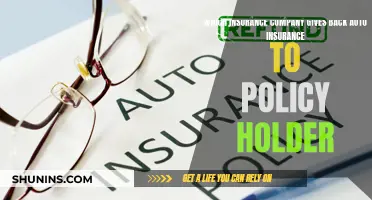 Auto Insurance Refunds: Which Companies Give Back to Policyholders?