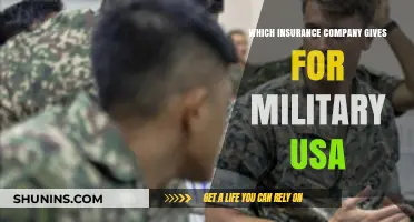 Top Insurance Providers Offering Exclusive Benefits for U.S. Military Personnel