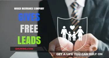 Discover Insurance Companies Offering Free Leads to Boost Your Business
