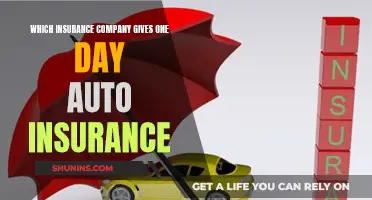 Best Auto Insurance Companies for One-Day Policies