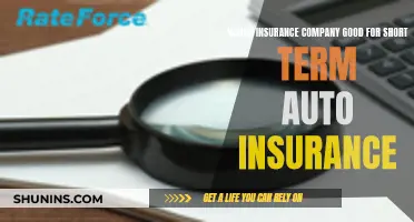 Finding the Best Short-Term Auto Insurance Provider