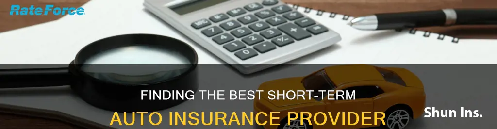 which insurance company good for short term auto insurance