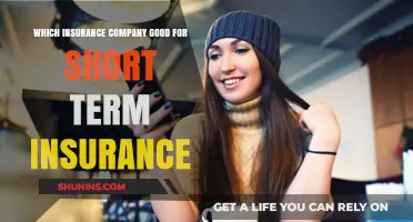 Top Short-Term Insurance Providers: Finding the Best Coverage for You