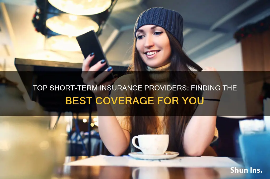 which insurance company good for short term insurance