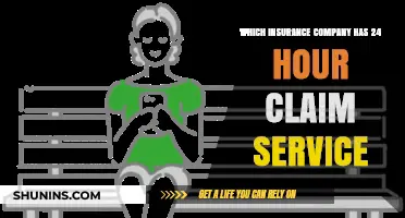 Top Insurance Companies Offering 24/7 Claim Assistance: A Comprehensive Guide