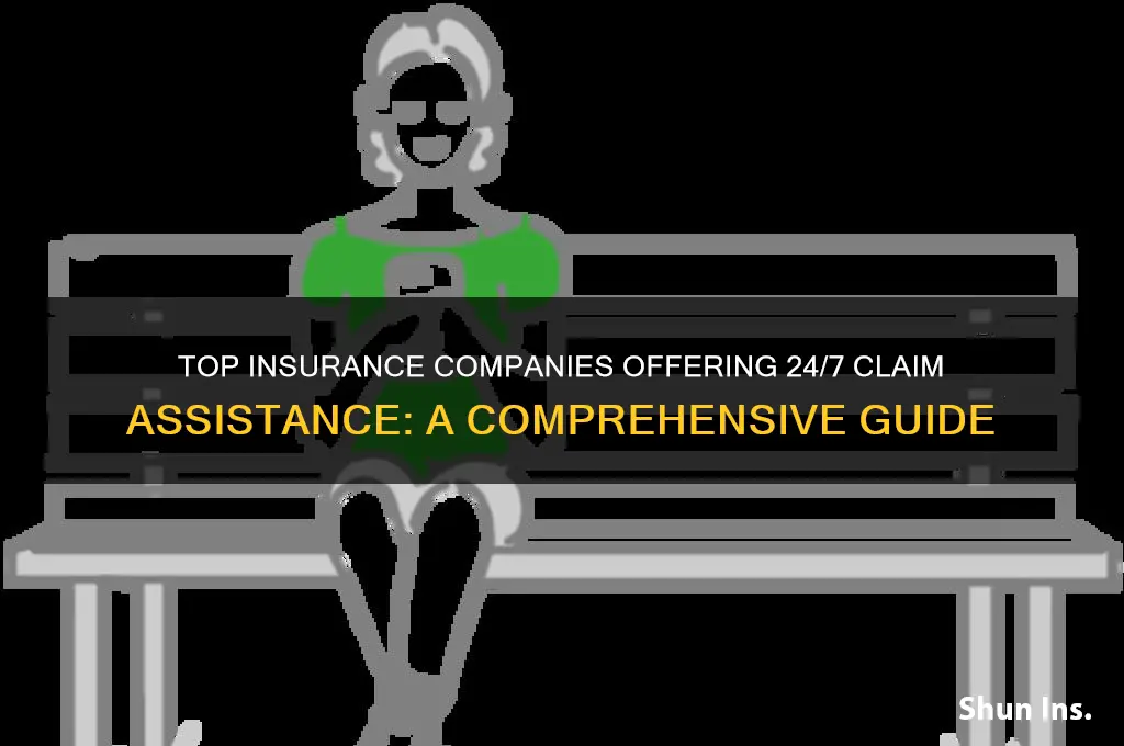 which insurance company has 24 hour claim service