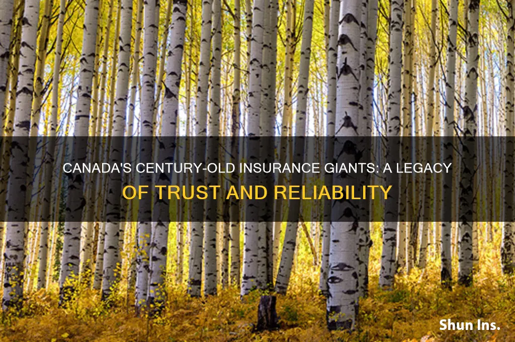 which insurance company has been in canada 100 years