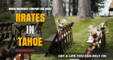 Best Insurance Rates in Tahoe: Top Companies Compared for Savings