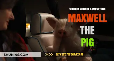 Discover Maxwell the Pig's Insurance Company: A Comprehensive Guide