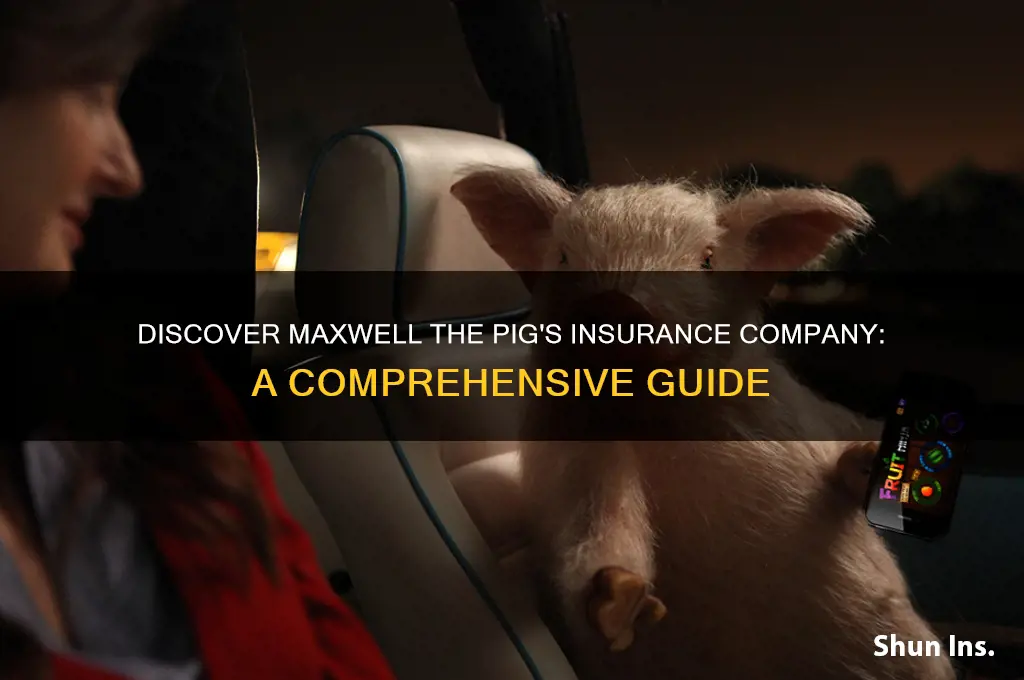 which insurance company has maxwell the pig