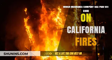 Top California Fire Insurance Payouts: Which Companies Delivered?