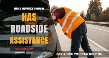Top Insurance Companies Offering Reliable Roadside Assistance Services