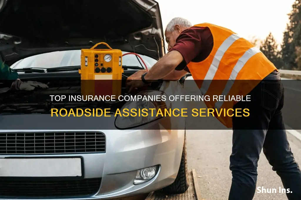 which insurance company has roadside assistance