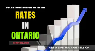 Best Insurance Rates in Ontario: Top Companies Compared for 2023