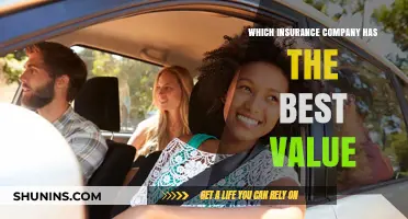 Top Insurance Companies Offering the Best Value for Your Money