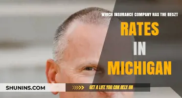 Best Michigan Insurance Rates: Top Companies Compared for Affordable Coverage