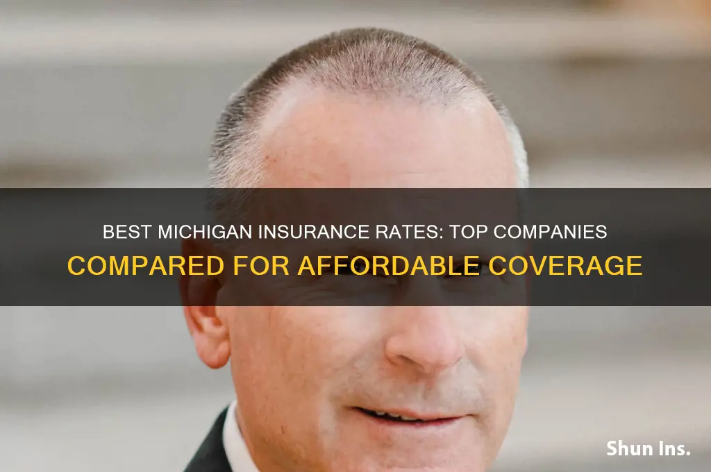 which insurance company has the beszt rates in michigan