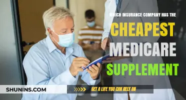 Affordable Medicare Supplement Plans: Top Insurers for Budget-Friendly Coverage