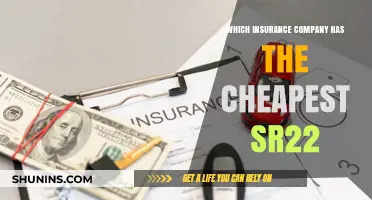 Affordable SR22 Insurance: Top Companies Offering the Cheapest Rates