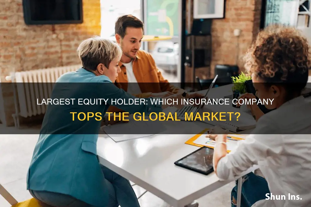 which insurance company has the largest equity