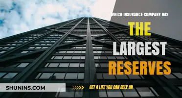 Top Insurance Giants: Who Holds the Largest Reserves in 2023?