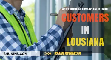 Louisiana's Top Insurer: Which Company Leads in Customer Numbers?