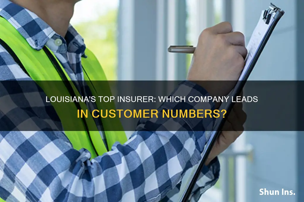 which insurance company has the most customers in lousiana