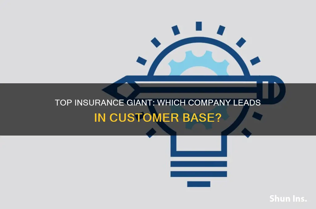 which insurance company has the most customers