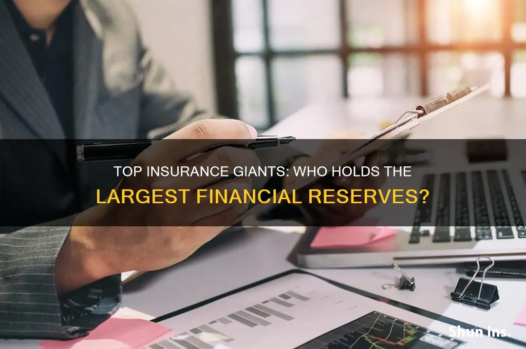 which insurance company has the most money