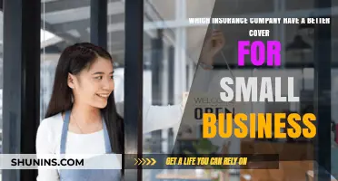 Best Small Business Insurance: Comparing Top Providers for Comprehensive Coverage