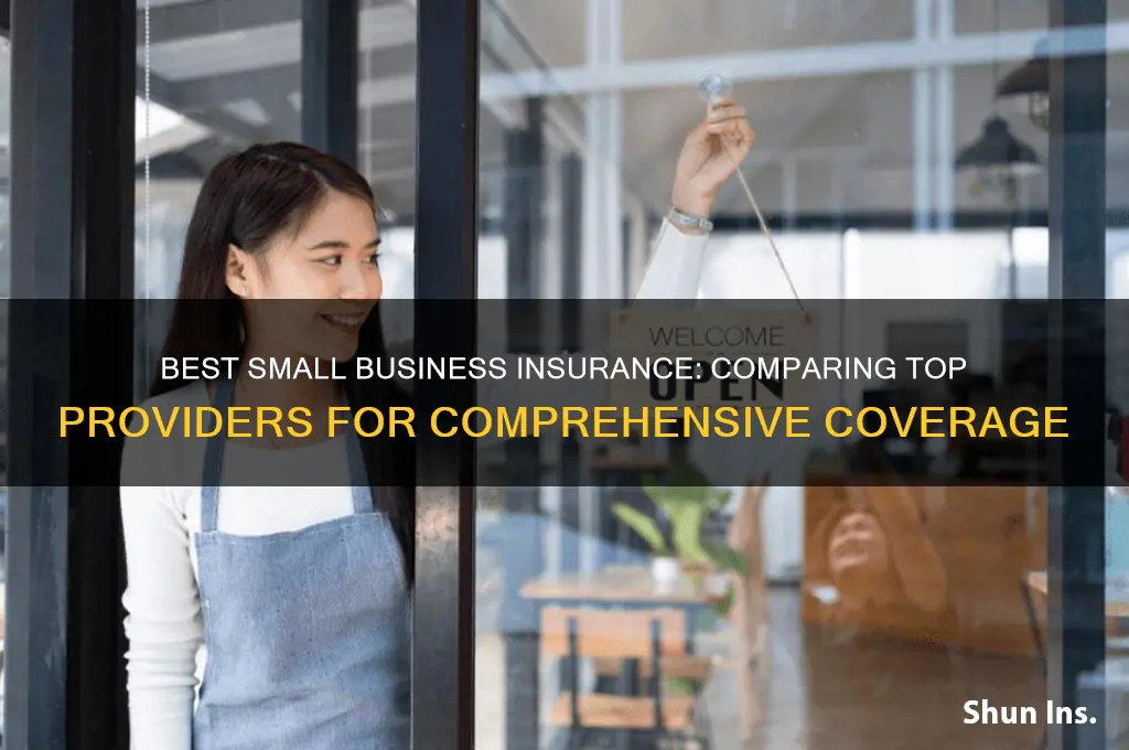 which insurance company have a better cover for small business