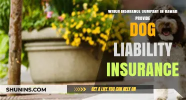 Top Hawaii Insurers Offering Dog Liability Coverage: A Comprehensive Guide