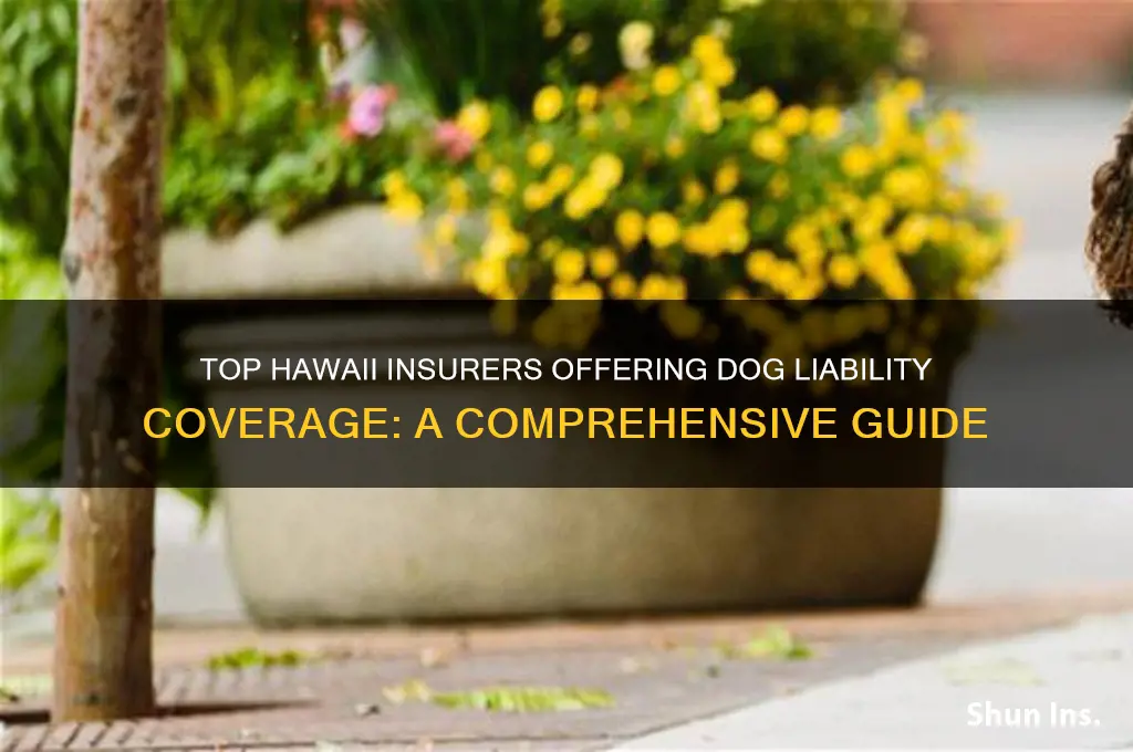 which insurance company in hawaii provide dog liability insurance