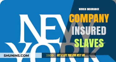 The Dark History of Slave Insurance: Which Companies Were Involved?