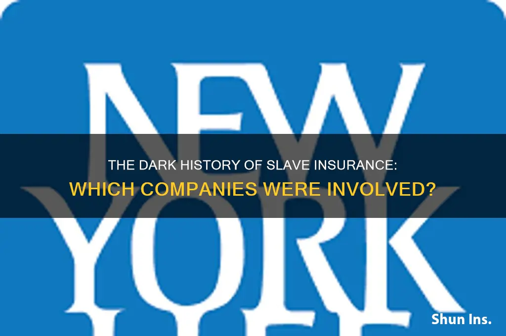 which insurance company insured slaves