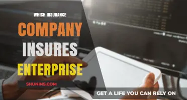 Which Insurance Company Insures Enterprise: A Comprehensive Guide
