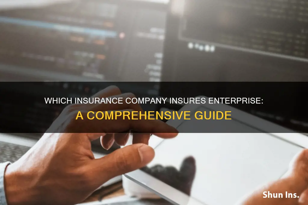 which insurance company insures enterprise