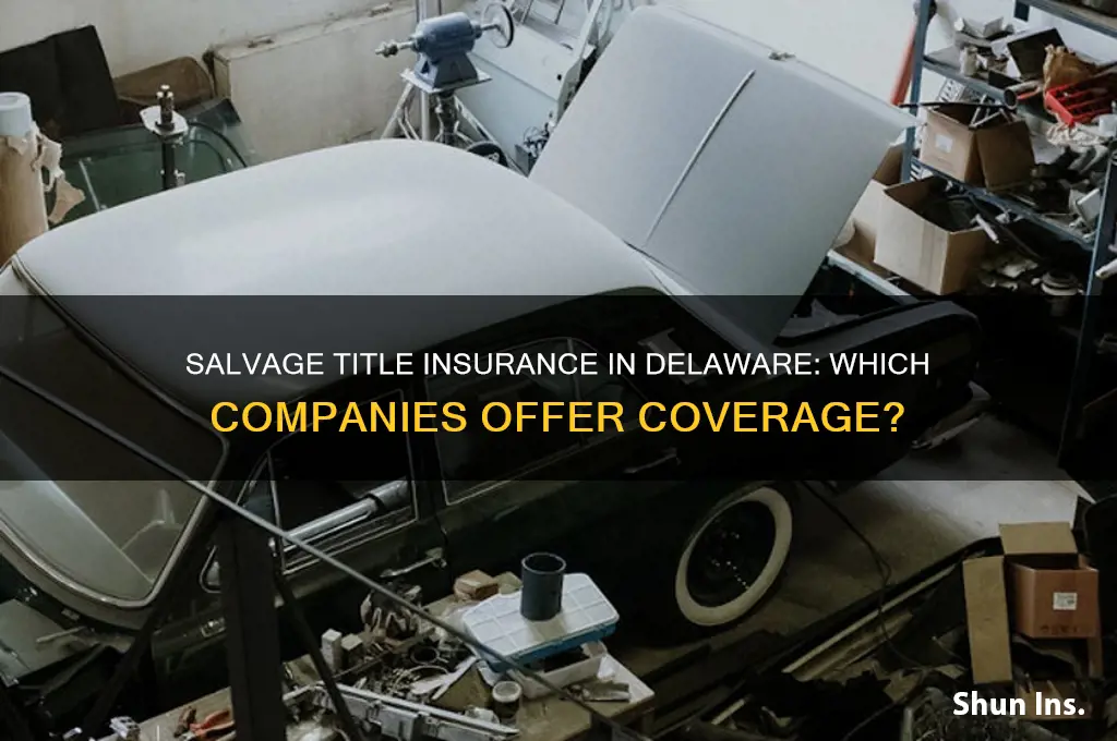 which insurance company insures salvage titles in dela