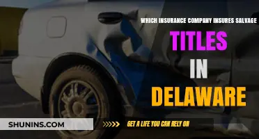 Delaware Salvage Title Insurance: Which Companies Offer Coverage?
