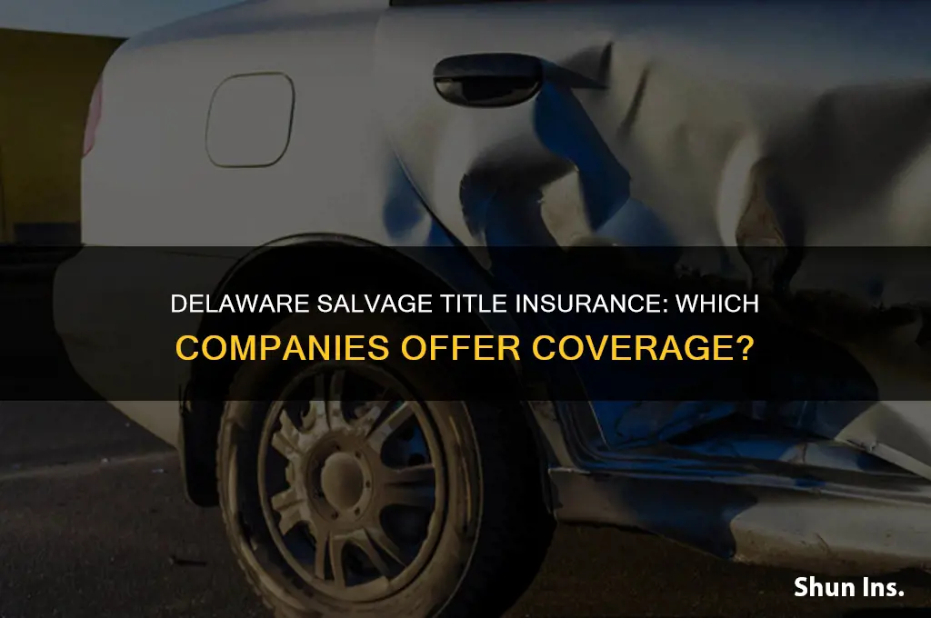 which insurance company insures salvage titles in delaware