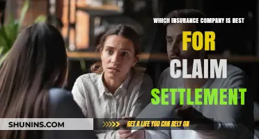 Top Insurance Companies for Quick and Fair Claim Settlements