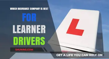 Top Insurance Picks for New Drivers: A Comprehensive Guide