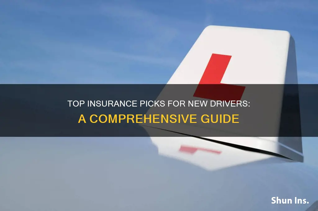 which insurance company is best for learner drivers