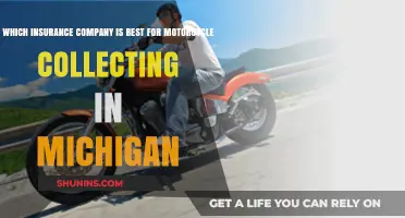 Top Michigan Motorcycle Insurance: Best Companies for Collectors
