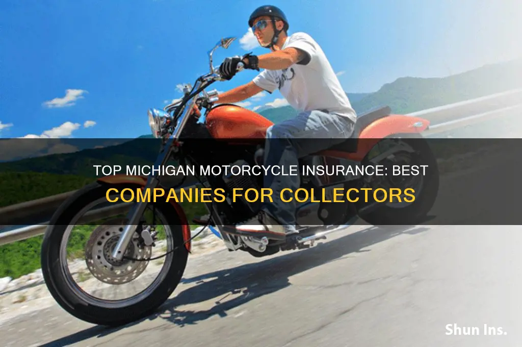 which insurance company is best for motorcycle collecting in michigan
