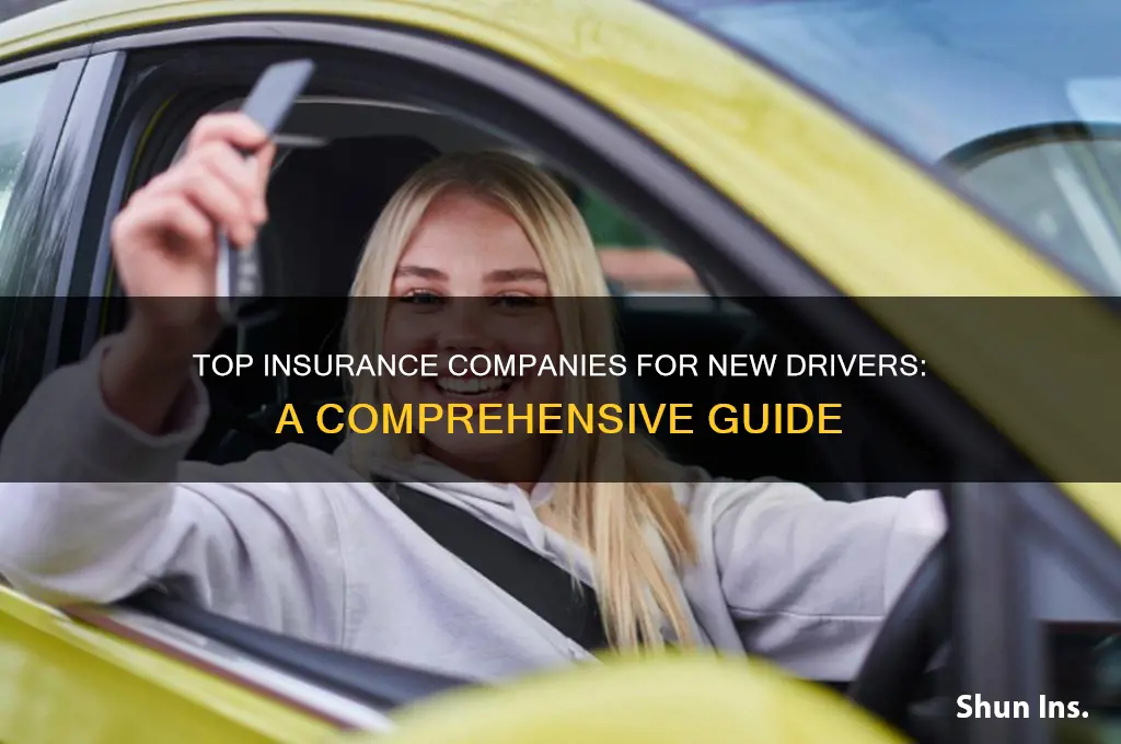 which insurance company is best for new drivers