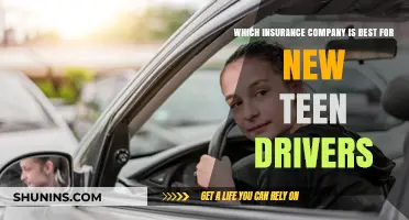 Top Insurance Picks for New Teen Drivers: Safety and Savings