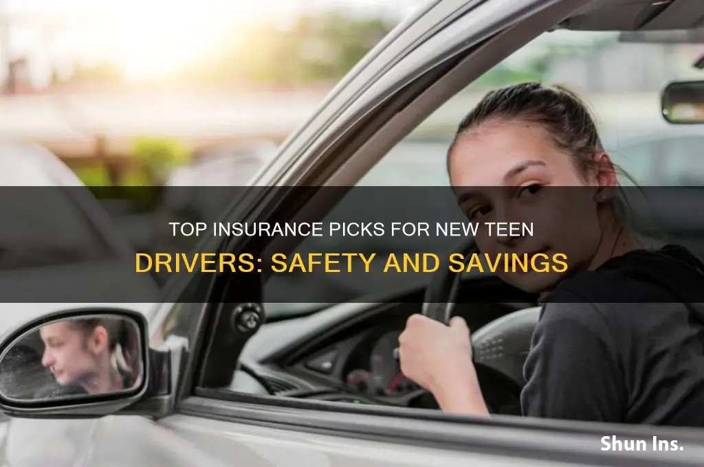 which insurance company is best for new teen drivers